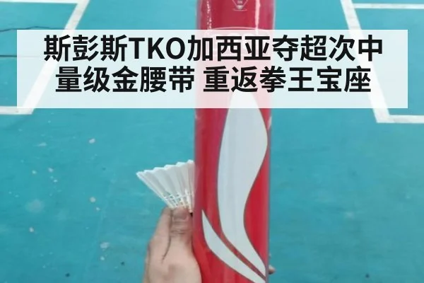 斯彭斯TKO加西亚夺超次中量级金腰带 重返拳王宝座